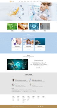 網頁與網站設計 構建數字世界的藝術與科學