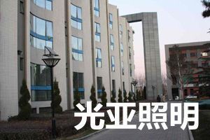 太陽(yáng)能庭院燈廠 綠色照明與高效節(jié)能的完美融合